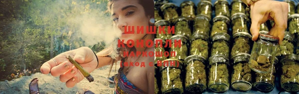 ПСИЛОЦИБИНОВЫЕ ГРИБЫ Слюдянка