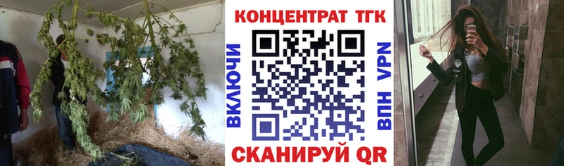ТГК гашишное масло  где можно купить   Себеж 