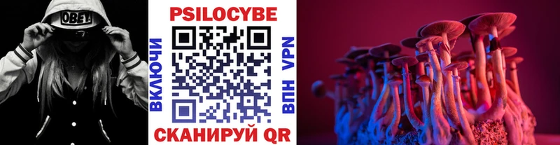 Псилоцибиновые грибы Psilocybe  Себеж 
